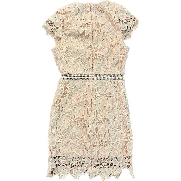 Main Strip | Blush Peach Crocheted Sheath Dress | Small - Picture 2 of 11
